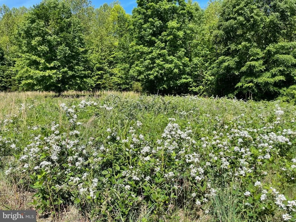 Photo of 1225 MIDDLE RIVER ROAD