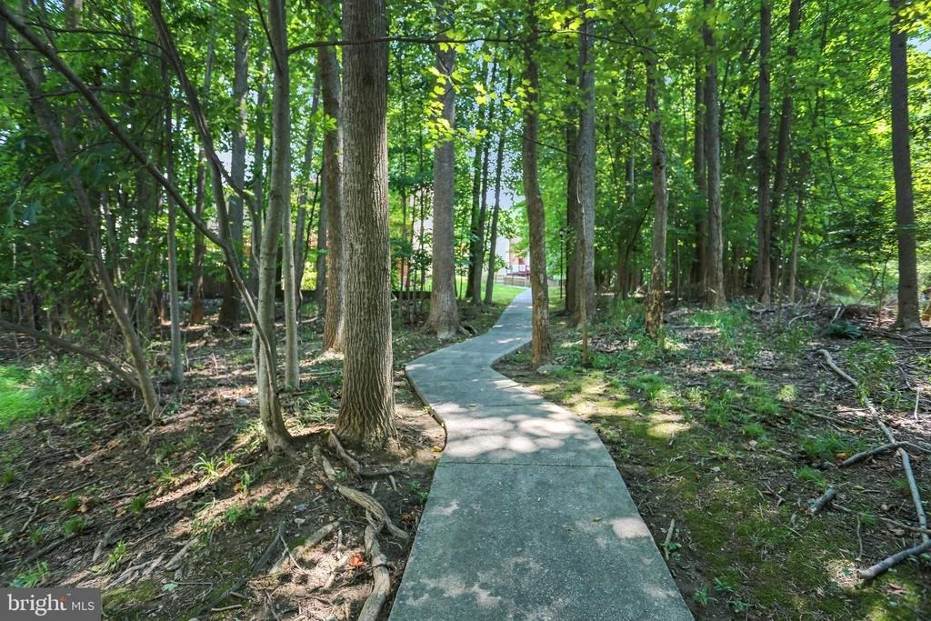 Photo of 14417 LONG GREEN DRIVE