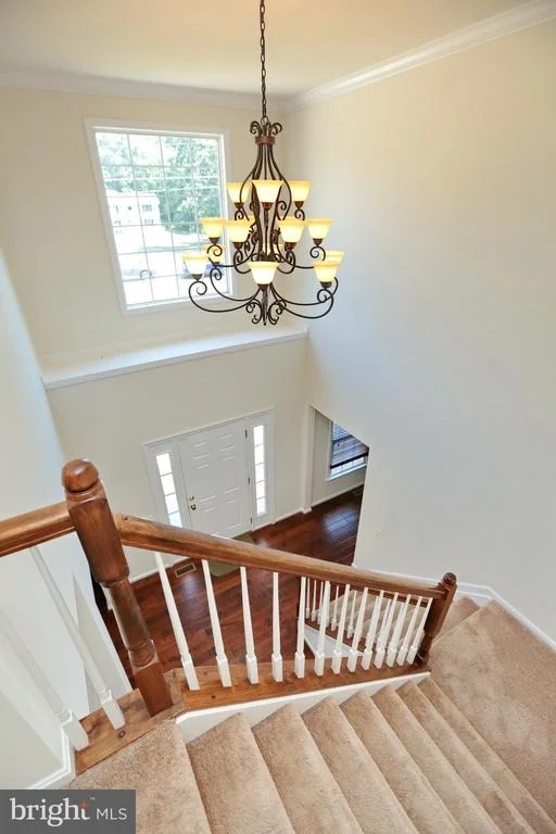 Photo of 8365 WARREN DRIVE