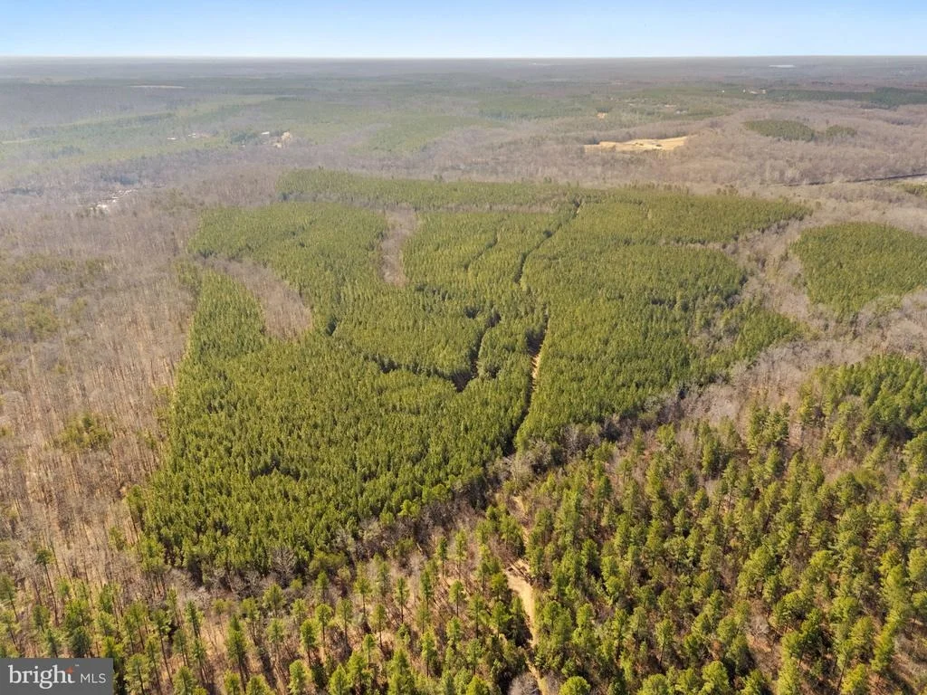 Photo of OFF SNAKE CASTLE ROAD