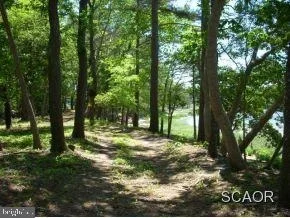 Photo of 35579 CENTRAL PARK CIRCLE