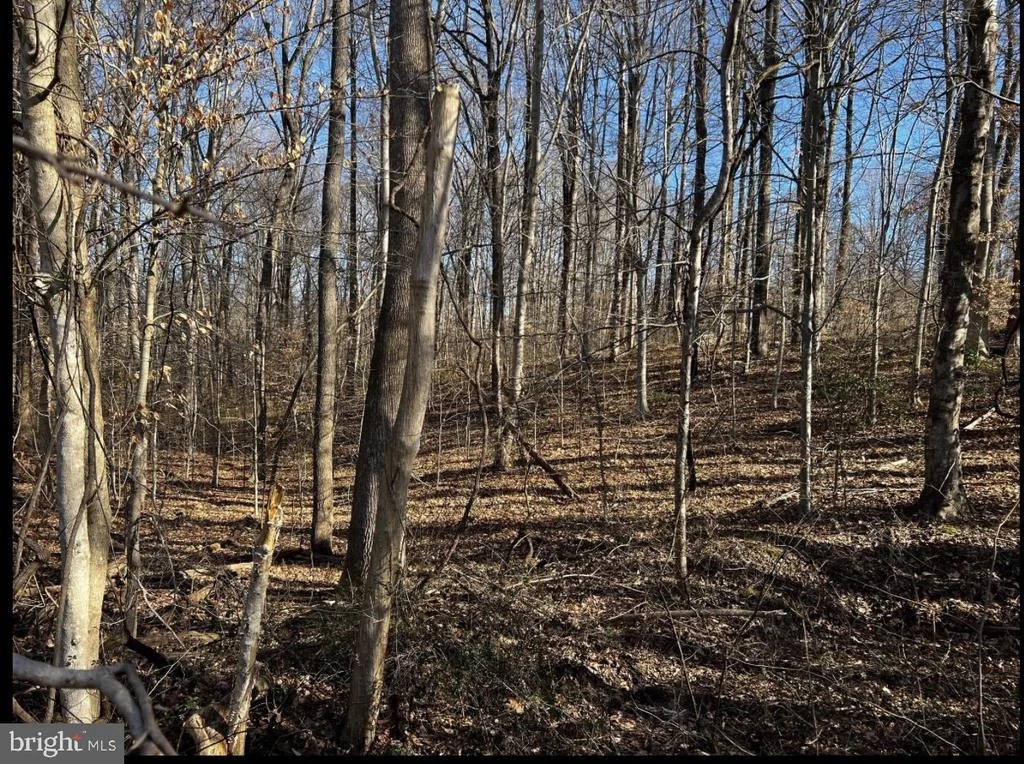 Photo of 6299 MCKENDREE ROAD