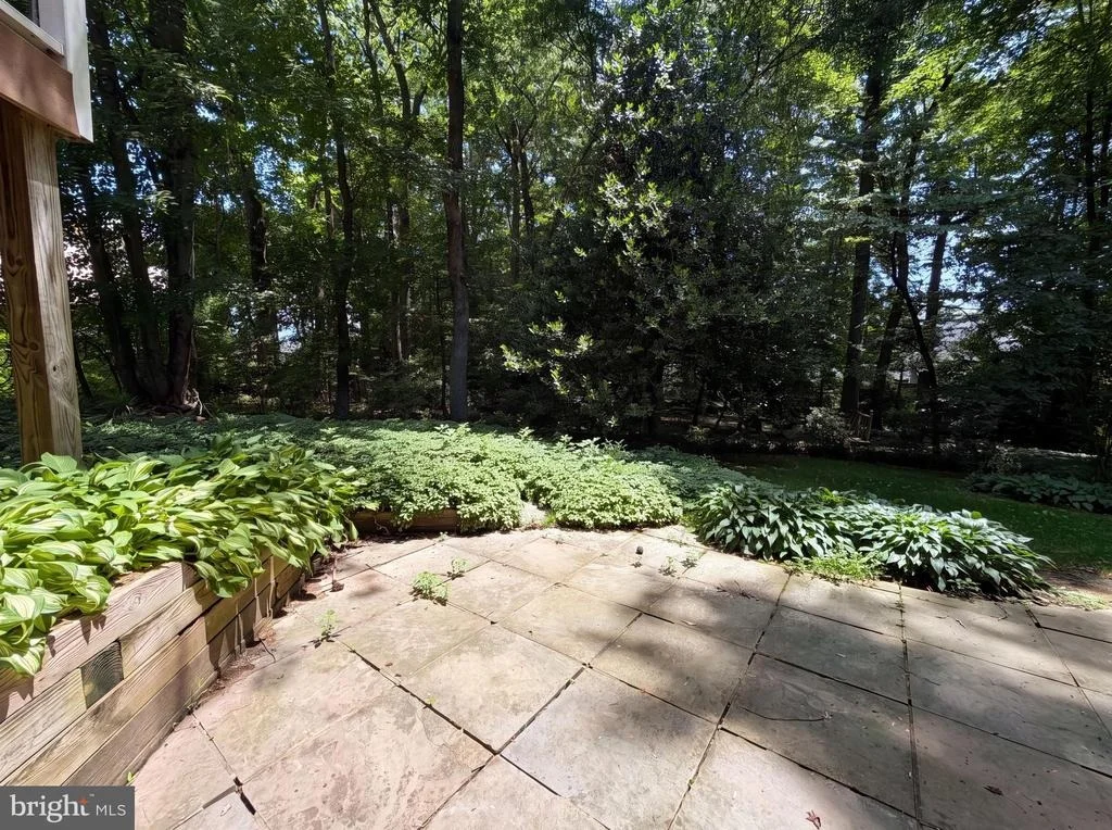 Photo of 4819 POWELL ROAD