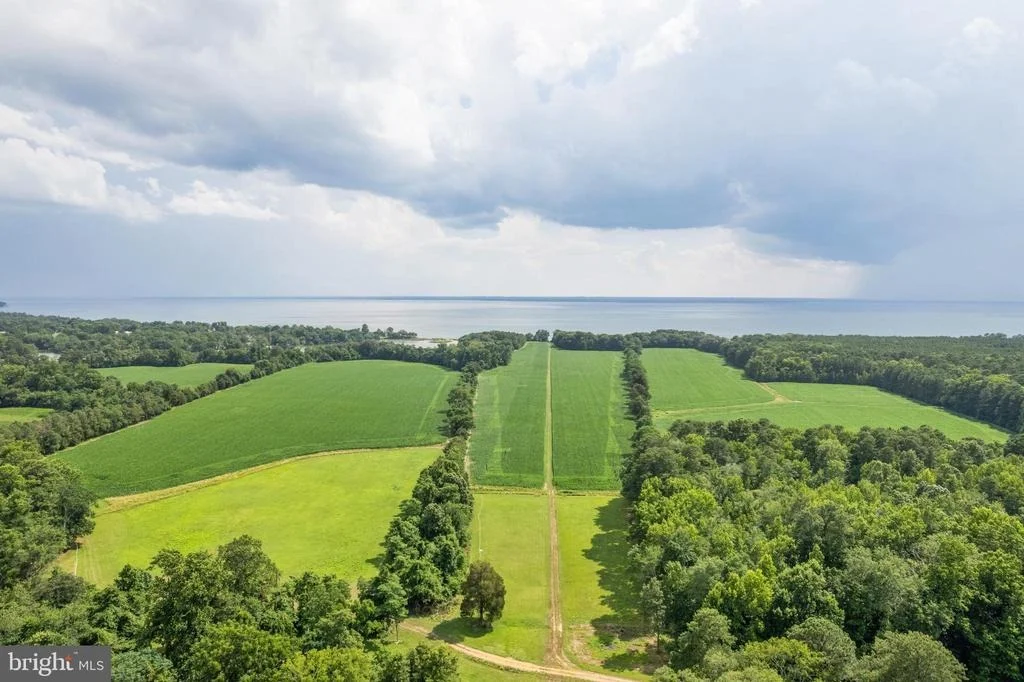 Photo of 19700 MULBERRY FIELDS ROAD