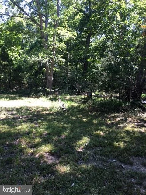 Photo of 20393 CEDAR GROVE