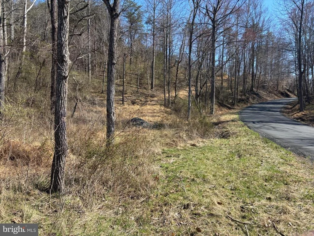 Photo of CARTERS RUN