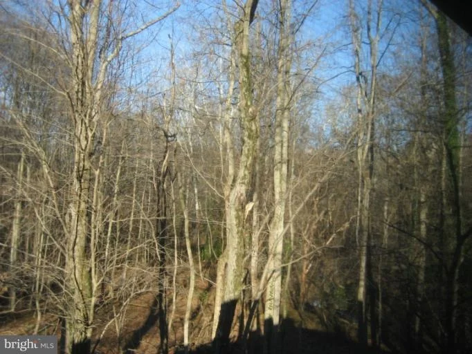 Photo of 1408 COLLEEN LANE