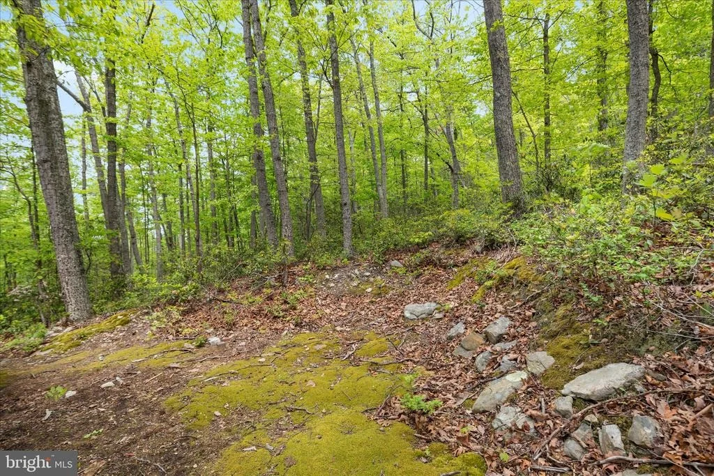 Photo of 551 SAWLOG