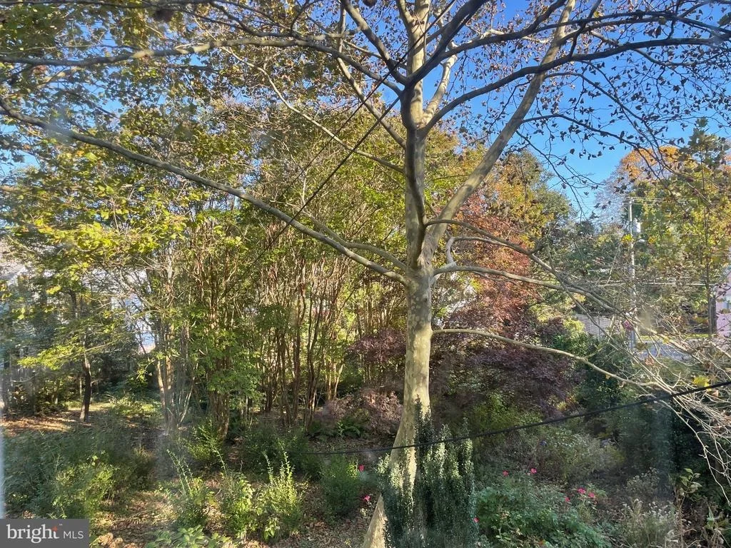 Photo of 109 HAZZARD LANE