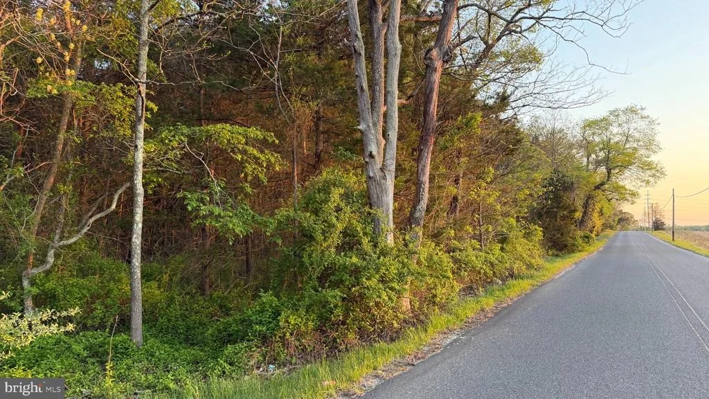 Photo of 0 W FACTORY ROAD