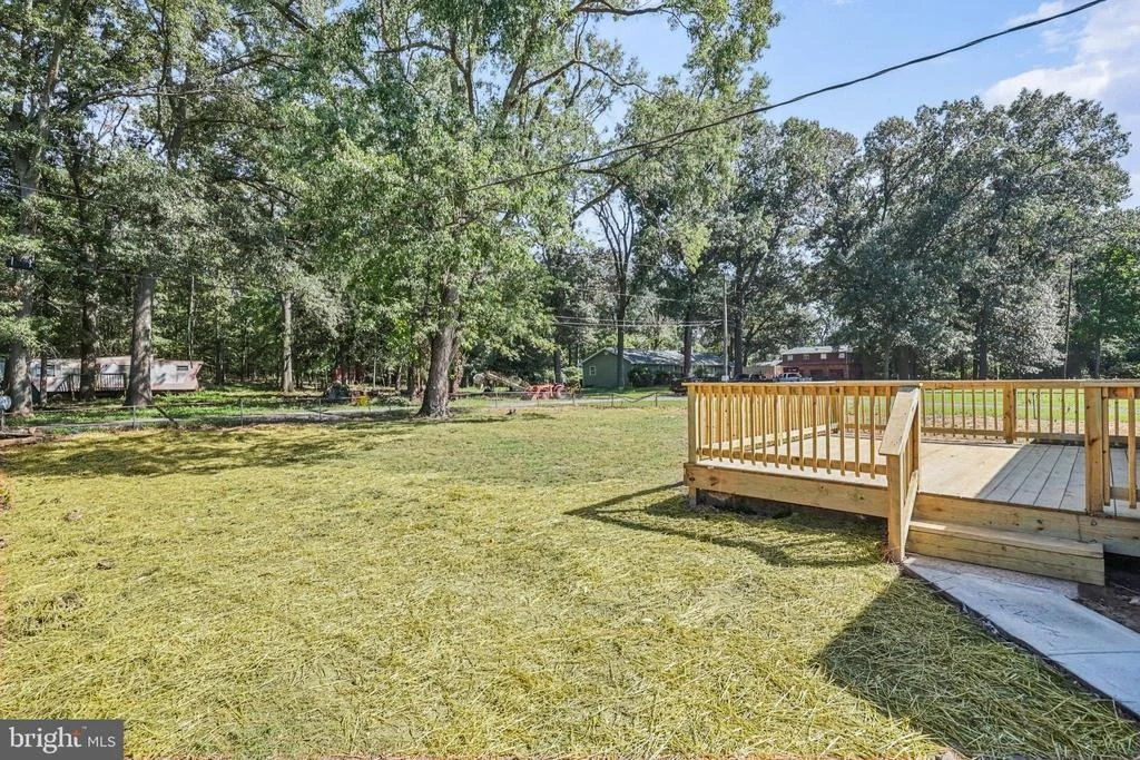 Photo of 15 PENNY LANE