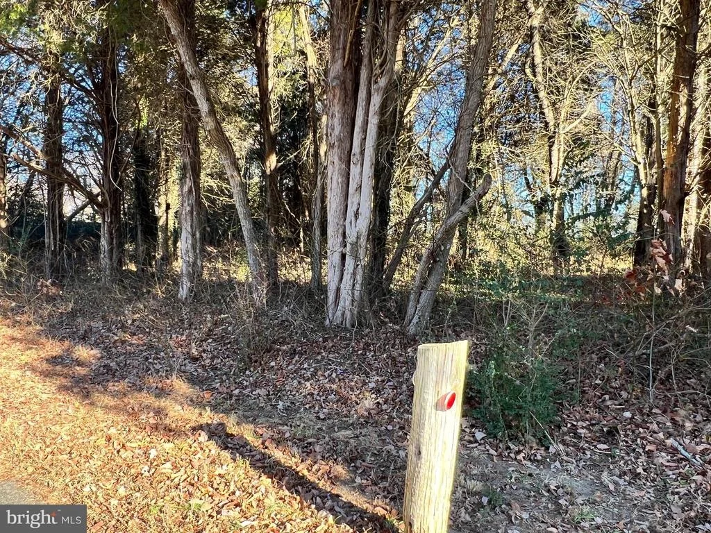 Photo of BAY DR