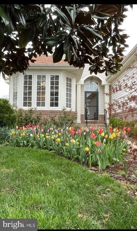 Photo of 6230 SETTLERS TRAIL PLACE