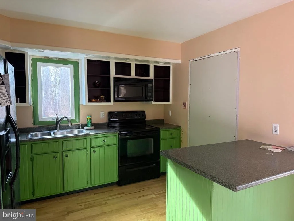 Photo of 13528 JOHN CLINE ROAD