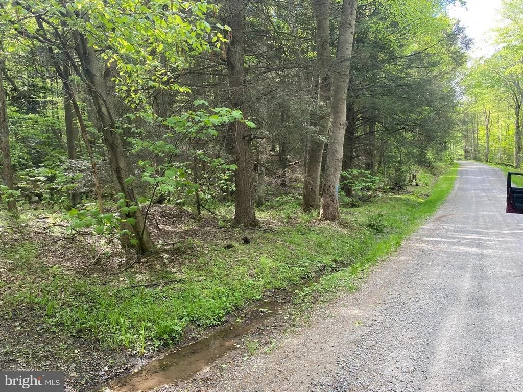Photo of Lot 3 DEER RUN ROAD