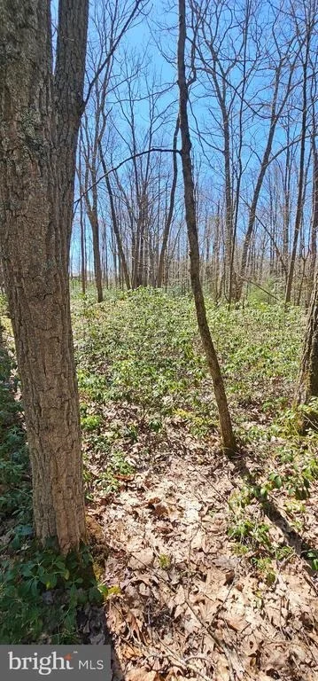 Photo of 6 CEDAR LANE
