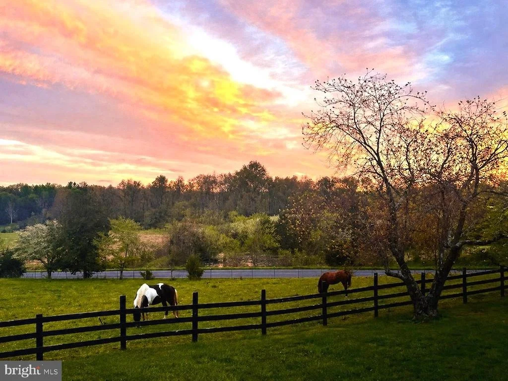 Photo of 481 JAMES CITY ROAD