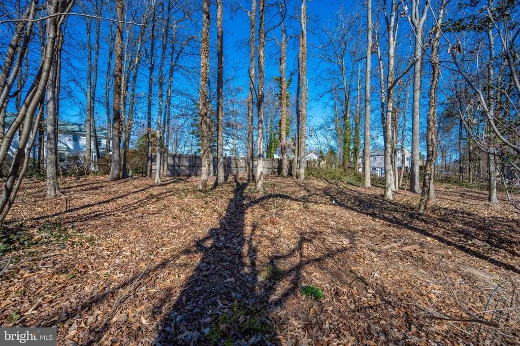 Photo of 2508 FALLING BROOK TERRACE