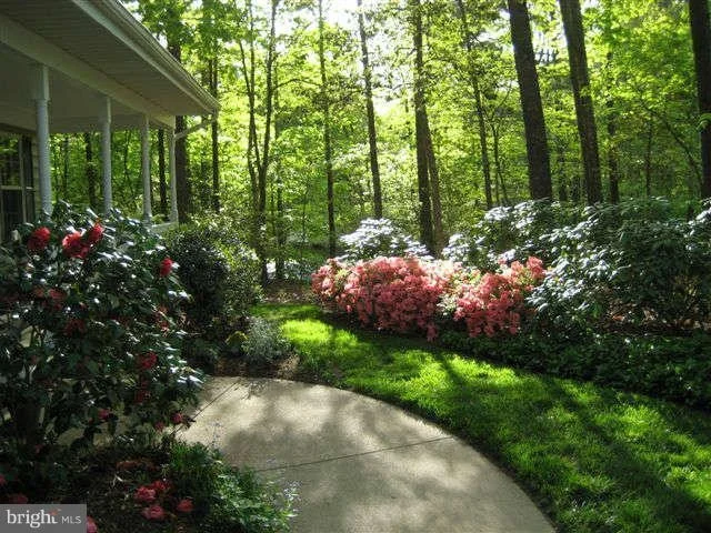 Photo of 43991 SPLIT PINE LANE
