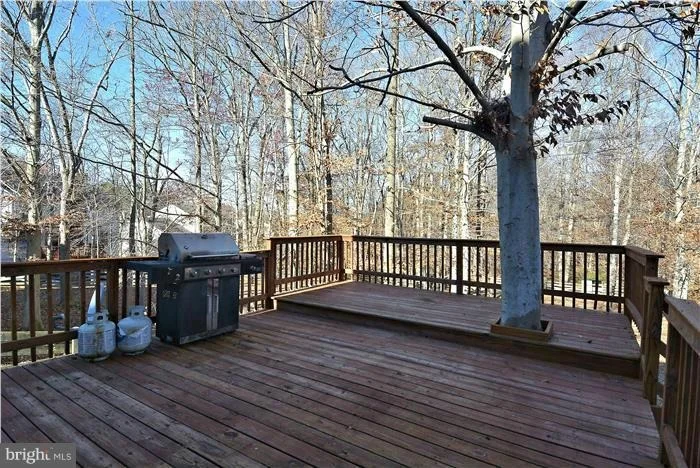 Photo of 10304 SNOWDEN ROAD