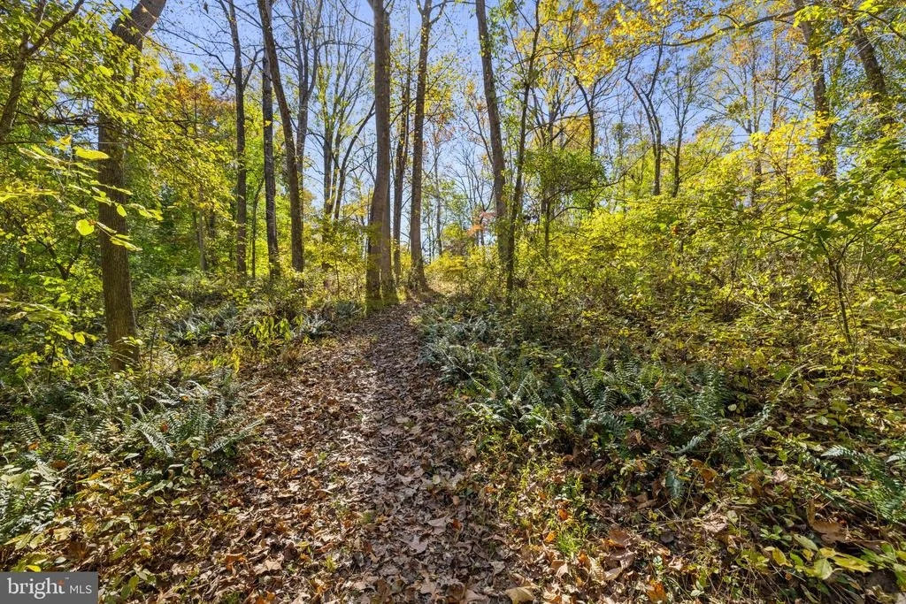 Photo of 20962 BEAVERDAM BRIDGE ROAD