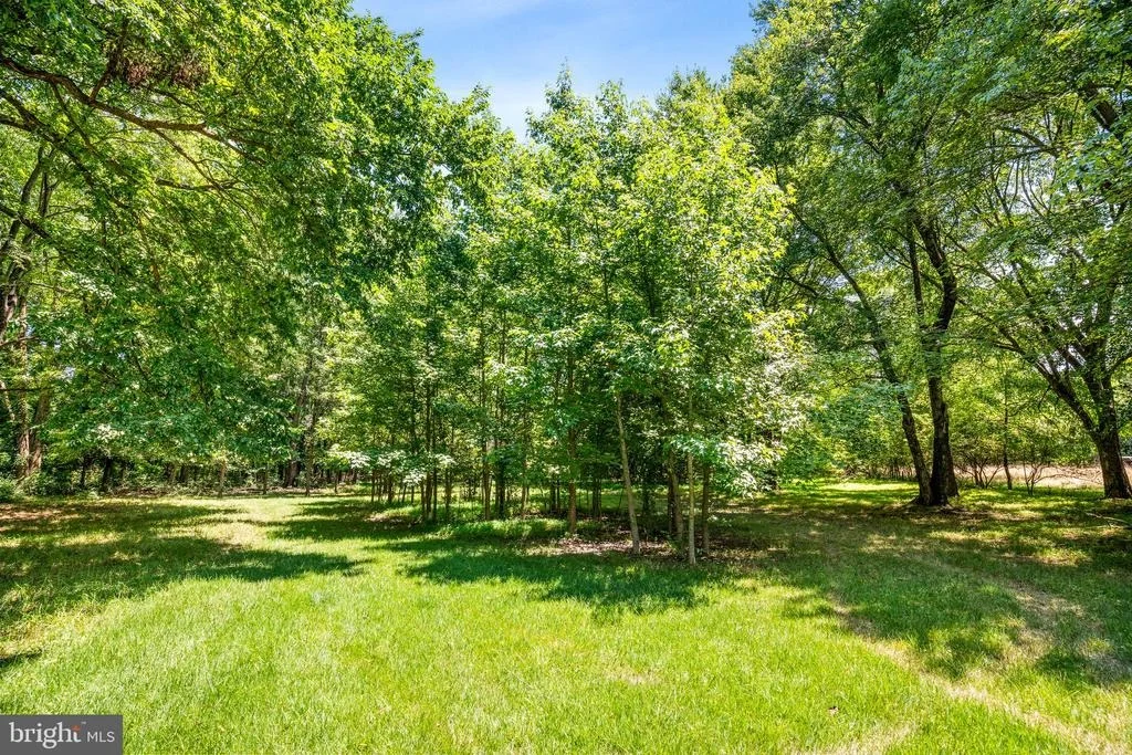 Photo of 6510 HORSESHOE ROAD