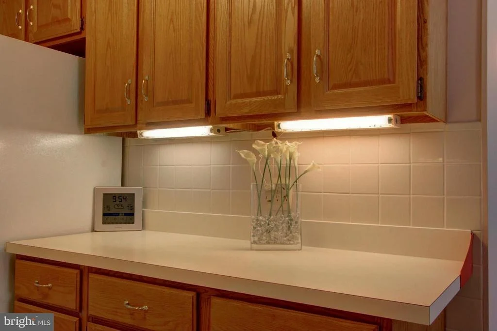 Photo of 16101 ROBLYNN COURT