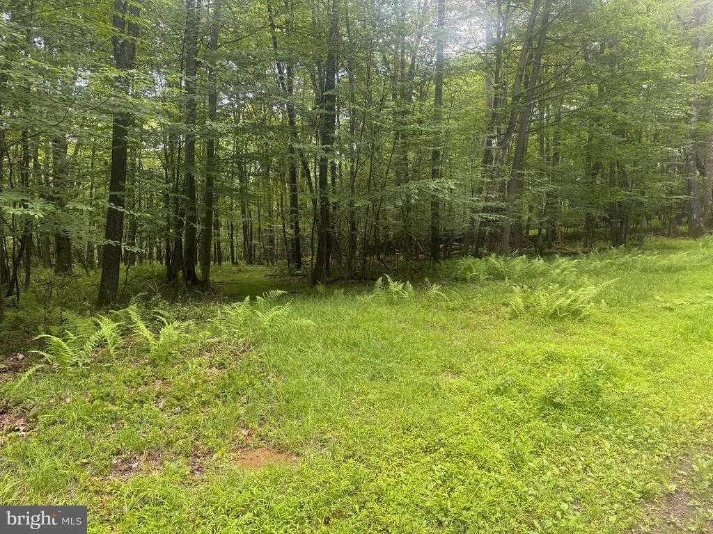 Photo of Lot 18 BUCK DRIVE