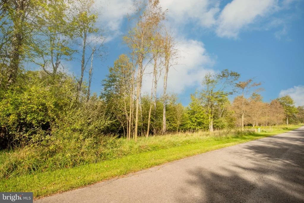 Photo of Lot 94 LOWER CAMP ROAD