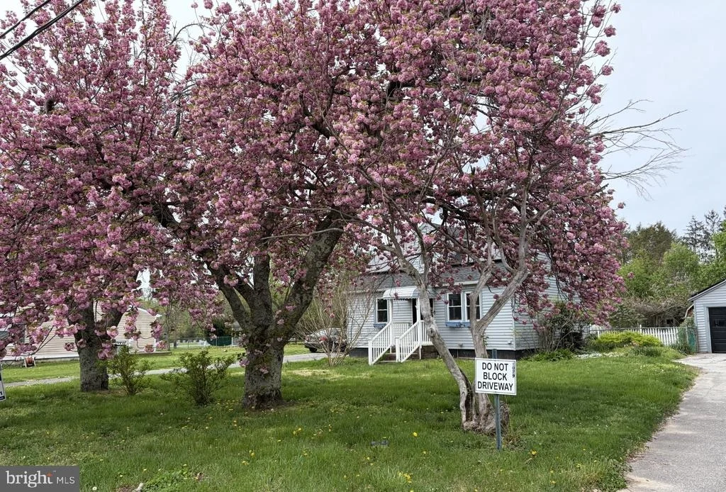 Photo of 1079 KINGS HIGHWAY