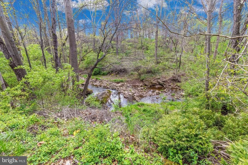 Photo of 6218 RAINIER DRIVE