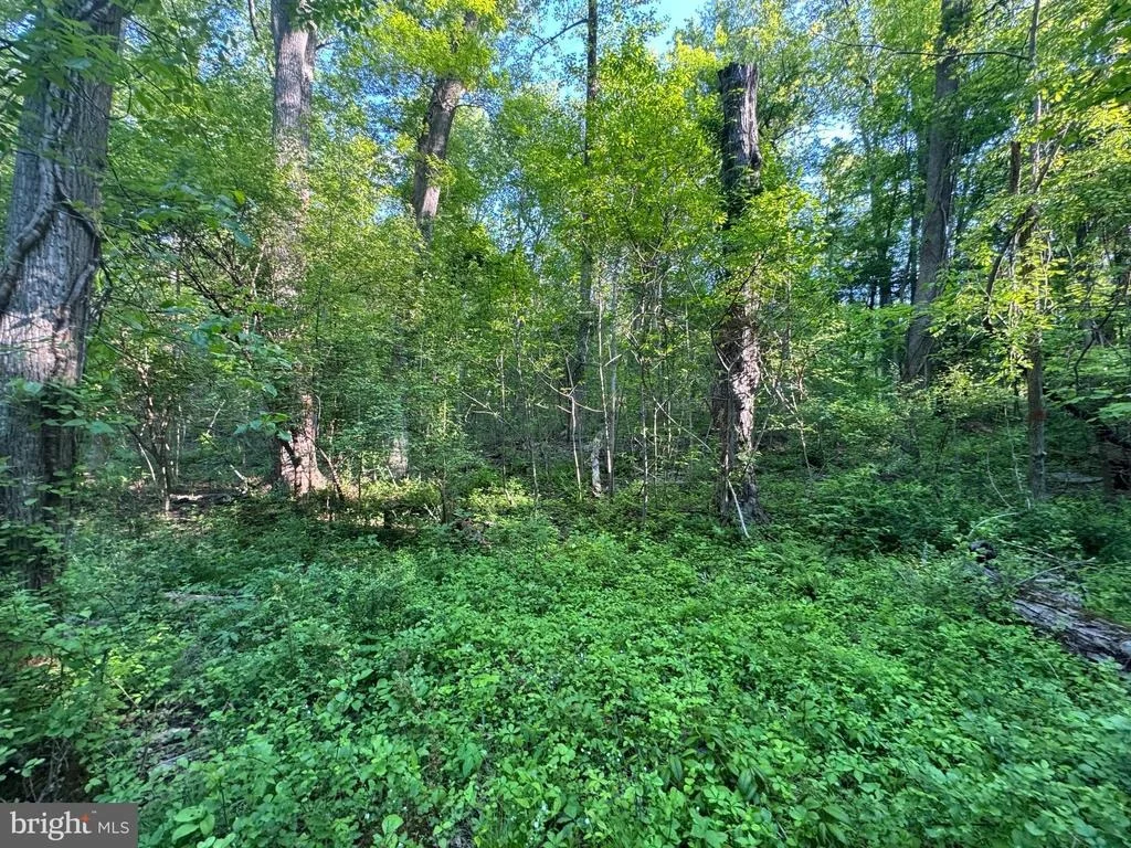 Photo of EDGEMONT ROAD