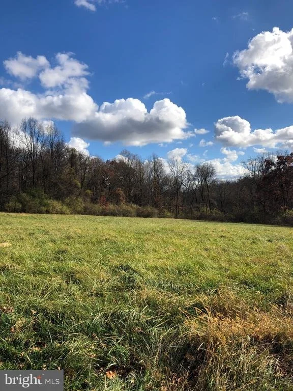 Photo of 4831 ROUND HILL ROAD