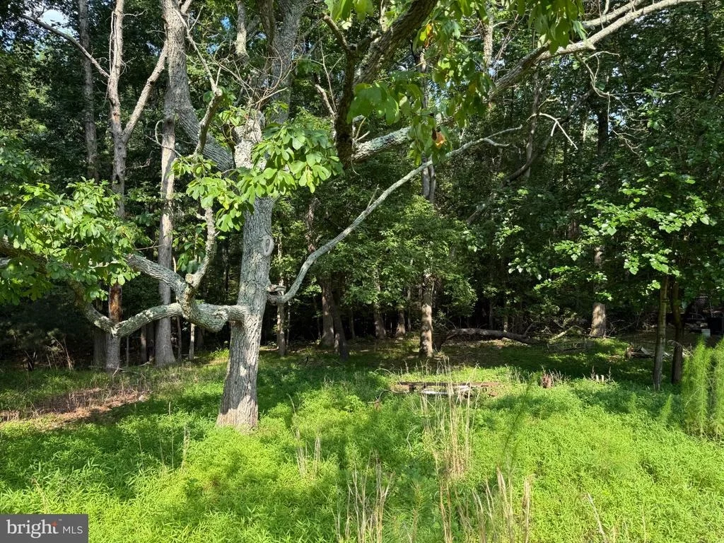 Photo of 12516 OLIVET ROAD