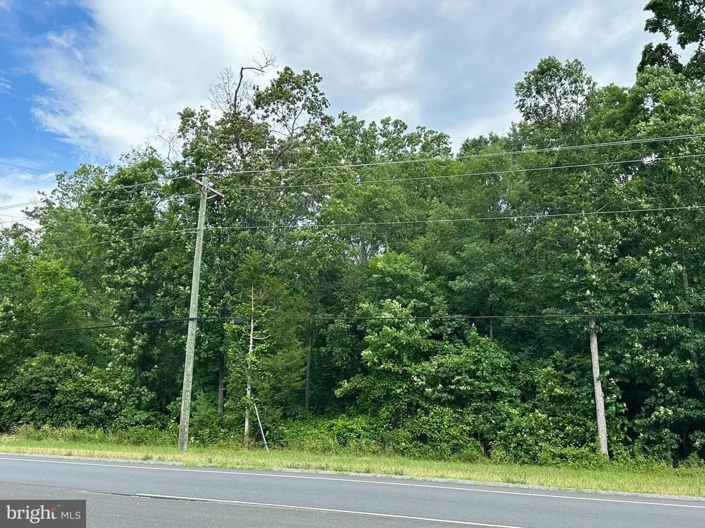 Photo of 7503 JAMES MADISON HIGHWAY