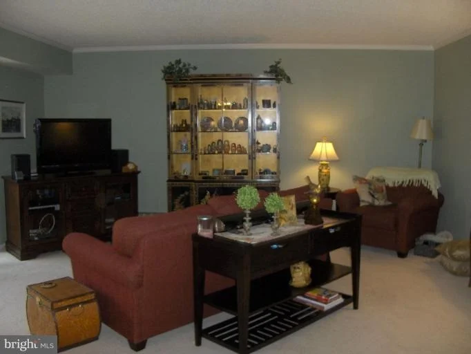 Photo of Unit 173C at 3511 FOREST EDGE DRIVE