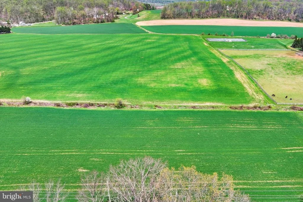 Photo of 5451 GLEN ARM ROAD