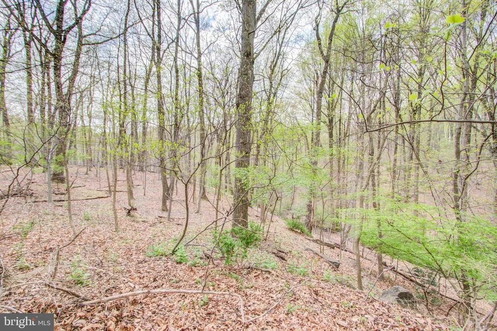 Photo of 10604 WOODSDALE DRIVE