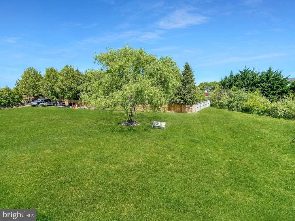 Photo of 11838 WHITE PINE DRIVE