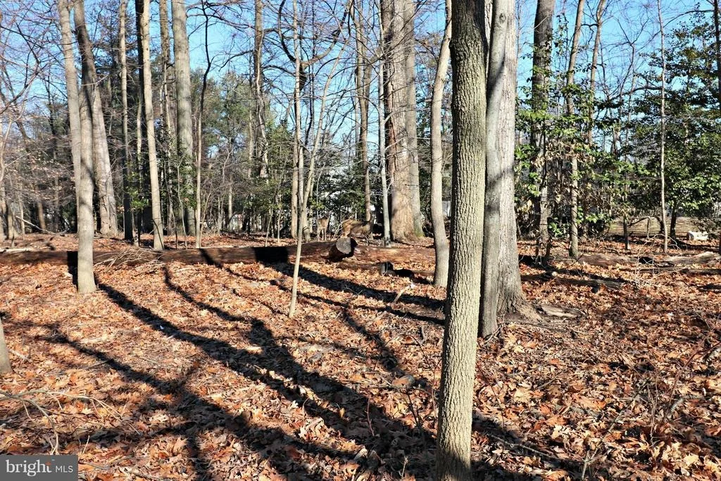 Photo of 1633 NORDIC HILL CIRCLE