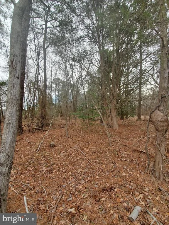Photo of 241 NEWTOWN ROAD