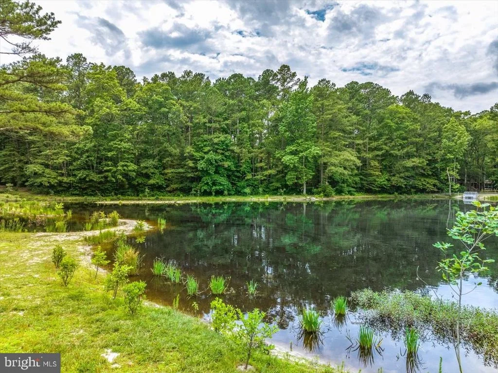 Photo of 50 WINDJAMMER ROAD