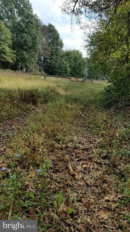Photo of 22552 SAM FRED ROAD