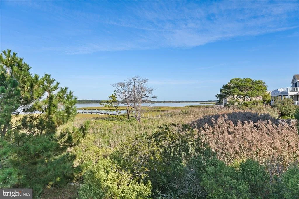 Photo of 36764 BAYSIDE DRIVE