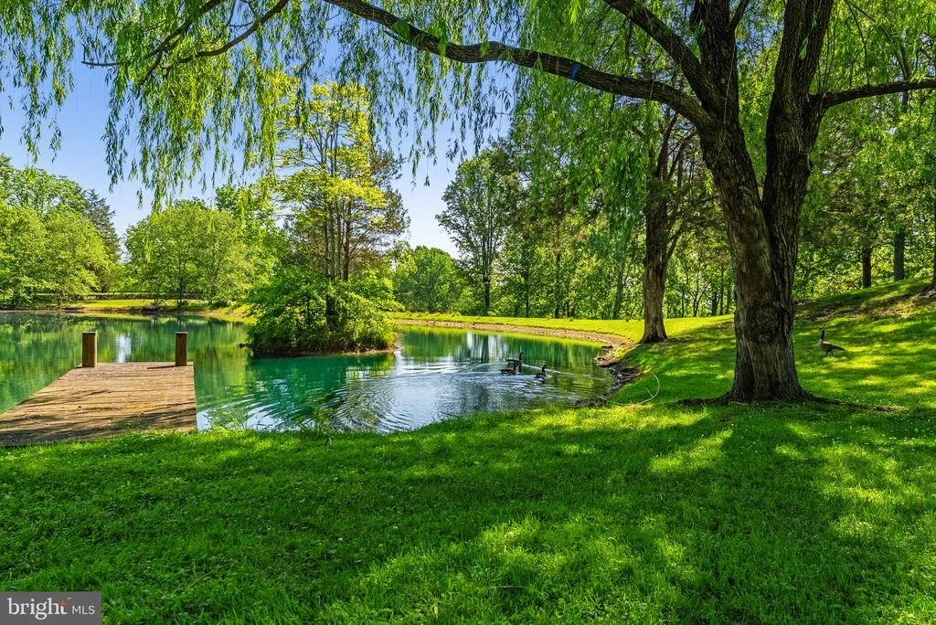 Photo of 6143 COON TREE ROAD