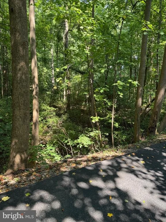 Photo of 4685 CAMP ROOSEVELT DRIVE