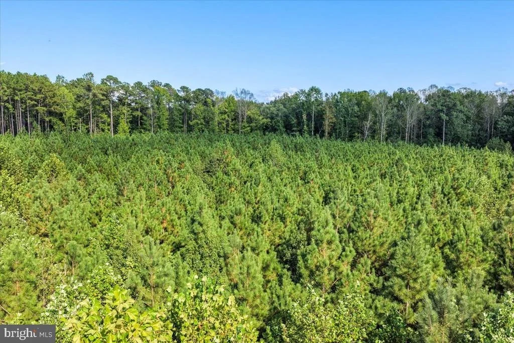 Photo of Lot 7 & 8 COUNTY POND ROAD
