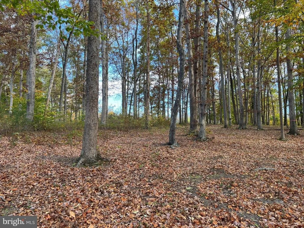 Photo of LOT 9 RAINBOW RIDGE