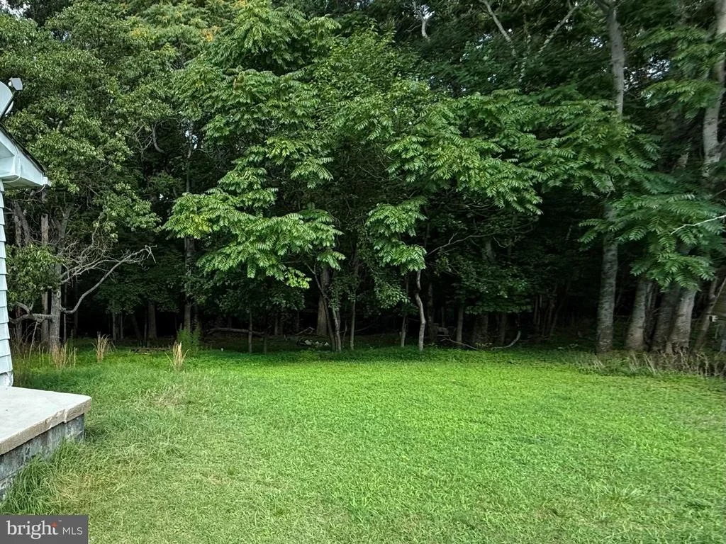 Photo of 12516 OLIVET ROAD