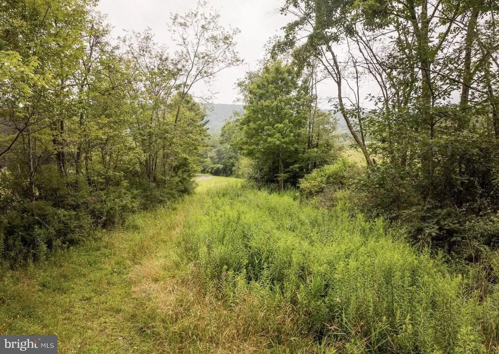 Photo of 1055 OLD WILSON ROAD